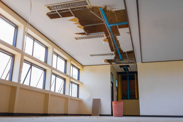 Best Water damage mitigation services  in Pelham Manor, NY