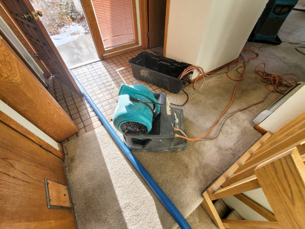 Best Carpet water damage restoration  in Pelham Manor, NY