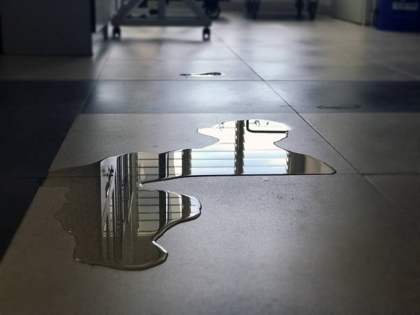 Best Professional water damage repair  in Pelham Manor, NY